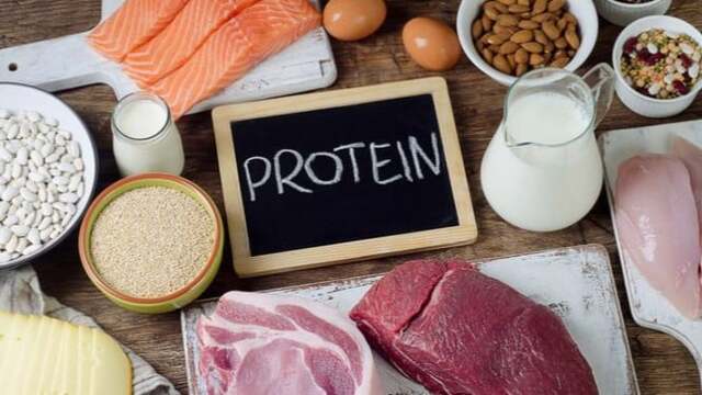 Makanan Tinggi Protein
